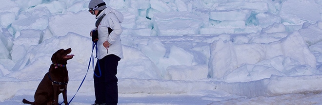 Le Carrefour Médical